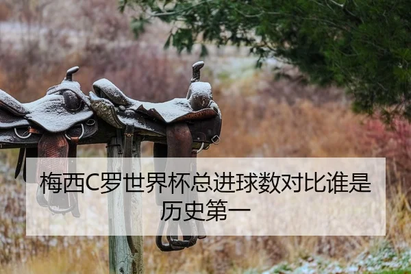 梅西C罗世界杯总进球数对比谁是历史第一